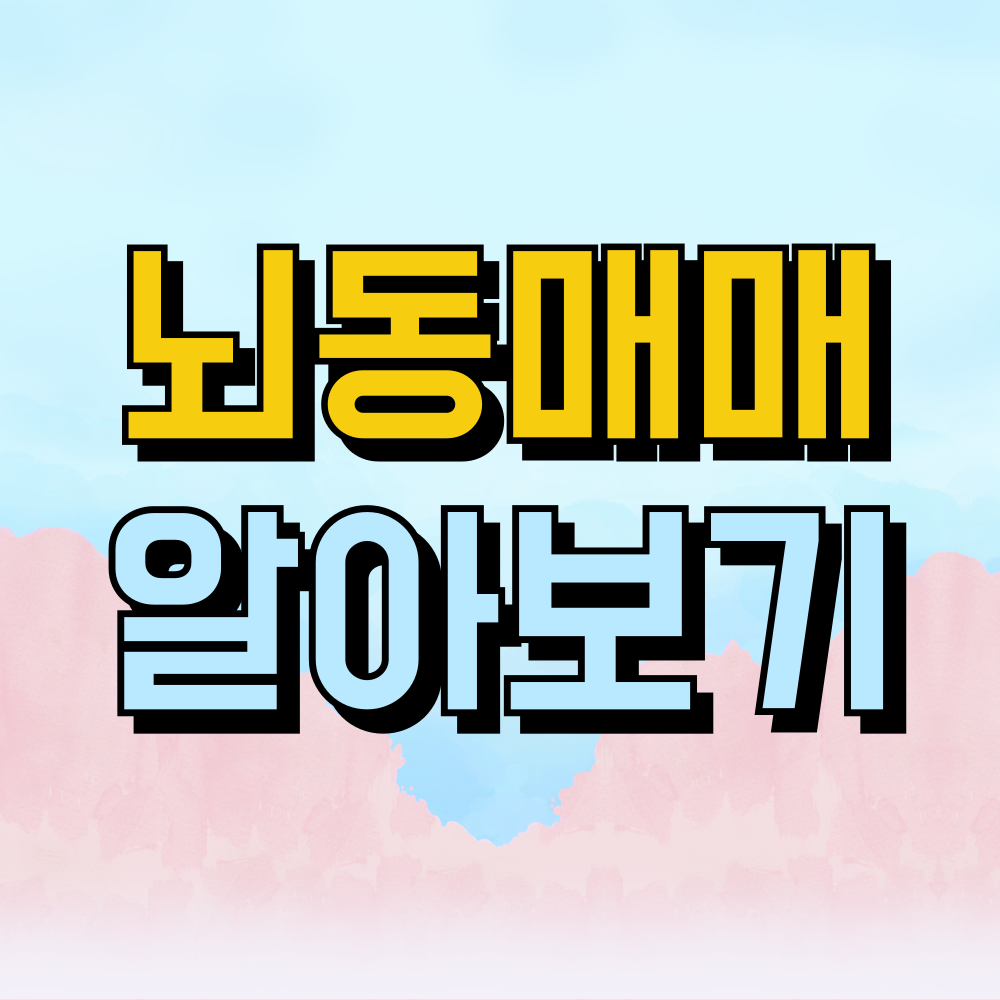 뇌동매매