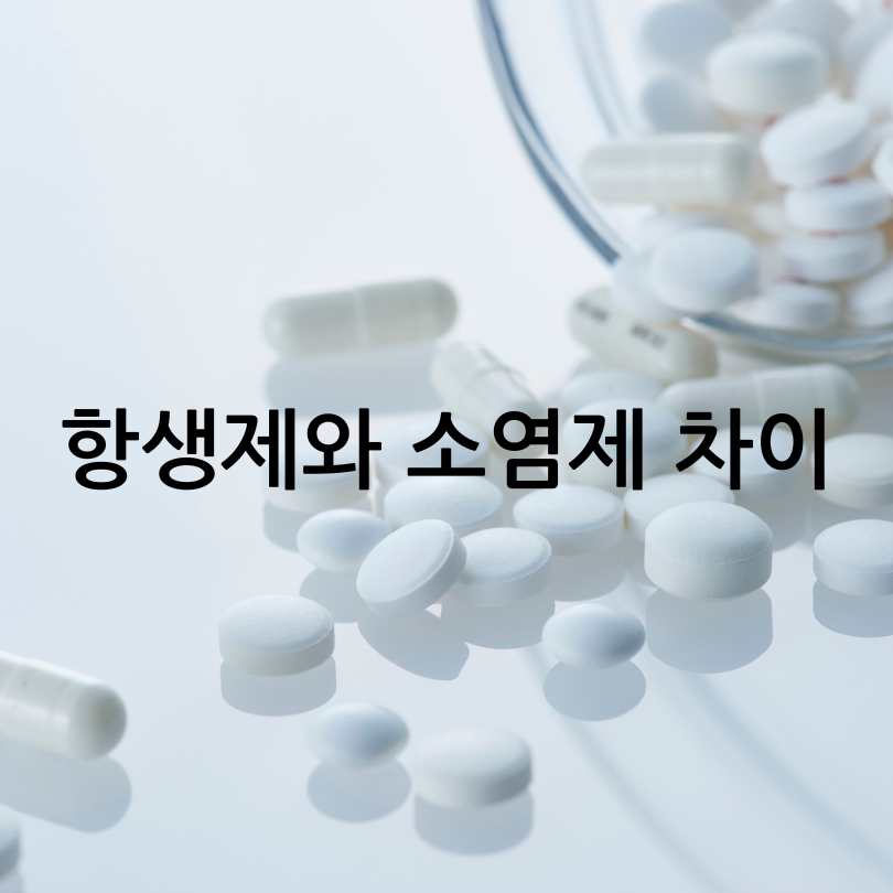 항생제와 소염제 차이