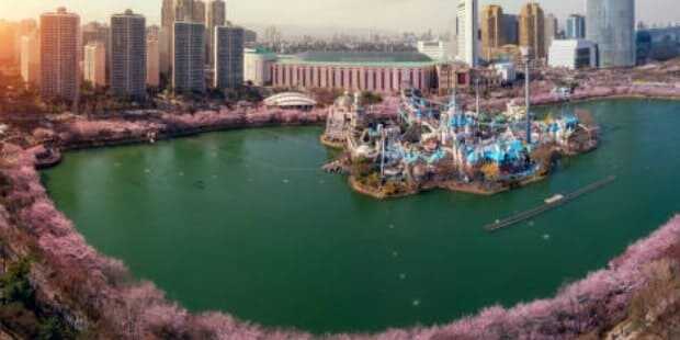 2025 석촌호수 벚꽃축제