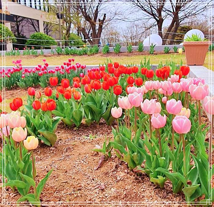 생방송투데이 서울 근교 김포 만평 정원이 있는 대형 카페 브런치 맛집