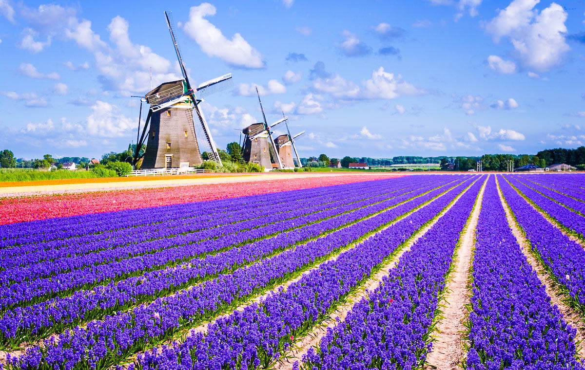 봄 커플 여행지 해외 추천 BEST 7 - 큐켄호프