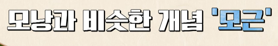 맥주 효모의 효능