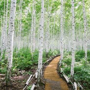 6월 국내여행지 추천
