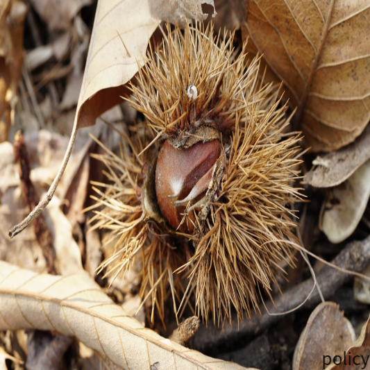 추석명절 지원금