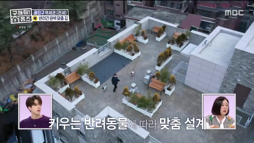 구해줘홈즈 댕댕하우스 동물병원 인접 서울시 광진구 중곡동 전세 매매 매물 가격 및 구조 인테리어 리모델링 최종선택 더보이즈 영훈 현재 소개