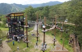 2024 태백 천상의 산나물 축제 기본일정 및 프로그램 소개 초대가수 소개(김희재 김완선 윤수현 홍성원 등 출연)