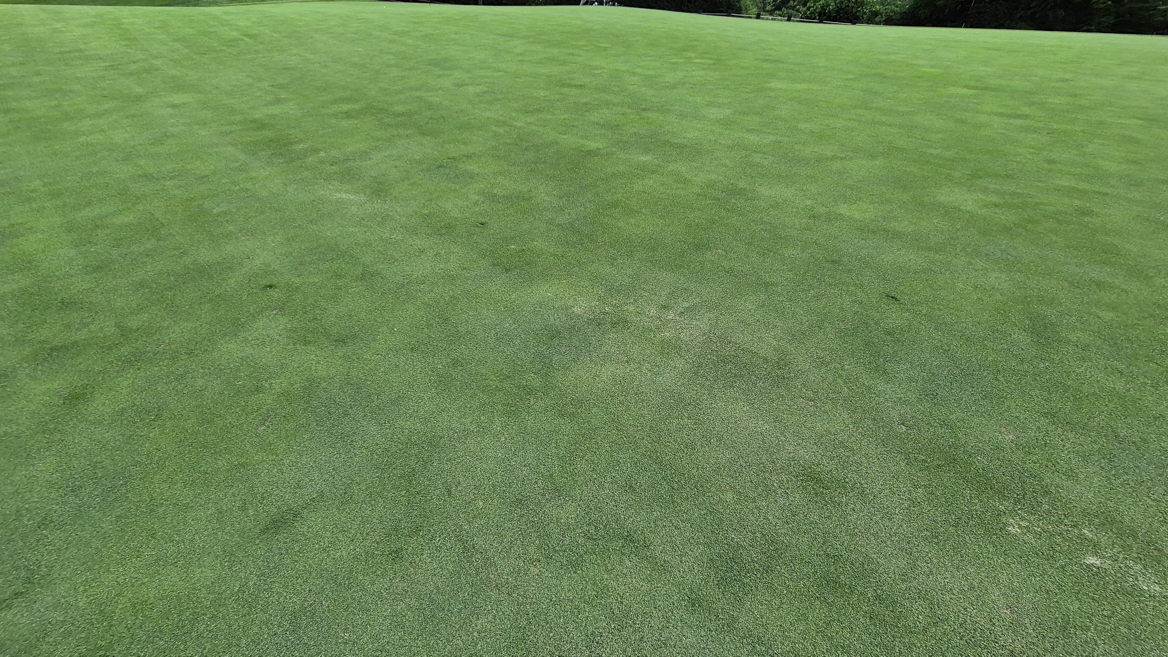 SG 아름다운cc 라운드 후기