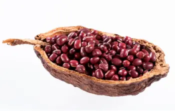 팥 효능 및 영양성분&amp;#44; 국산 팥가격