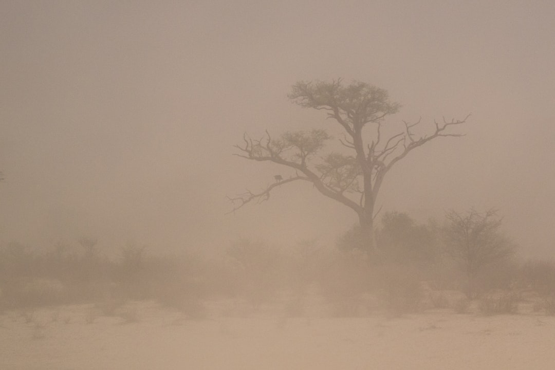 Dust.