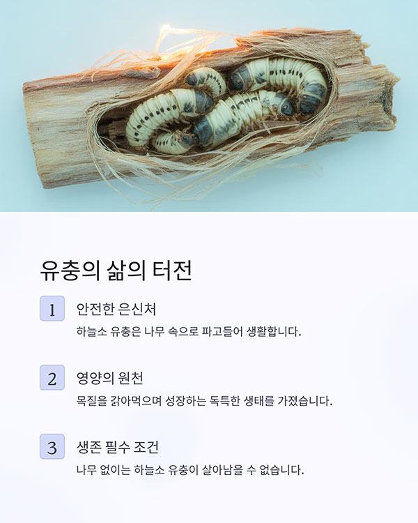 유충의 '삶의 터전'이다