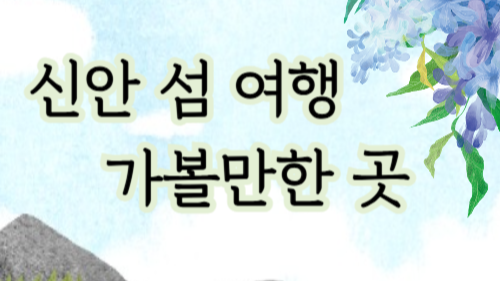 신안가볼만한곳