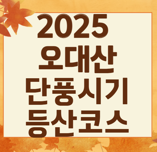 2025 오대산 단풍 절정 시기 공개! 가을 일정 & 인기 등산 코스 TOP 5