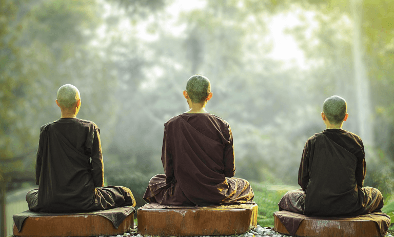 식물과 명상의 조화로운 삶, 자연에서 하는 명상