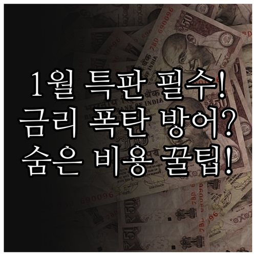 하나은행 1월 특판대출 변동금리 리스..