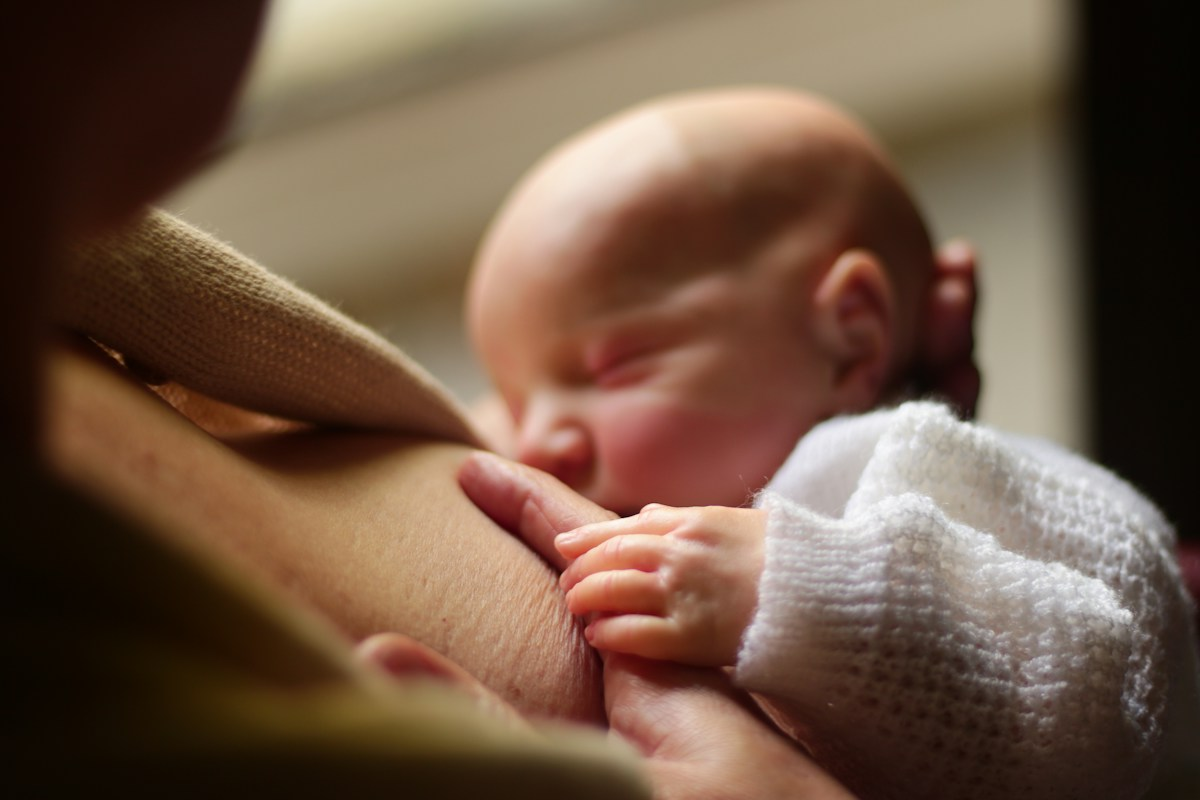 A baby breastfeeds, clinging to its mother