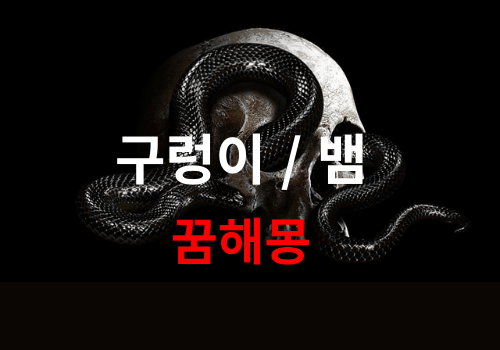구렁이 꿈 해몽 풀이, 뱀 나오는 꿈, 뱀 꿈 해몽, 길몽? 흉몽?