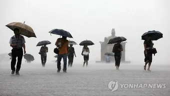 올해 장마 시작 종료일 정리 2025년 완벽 날씨 정보_7