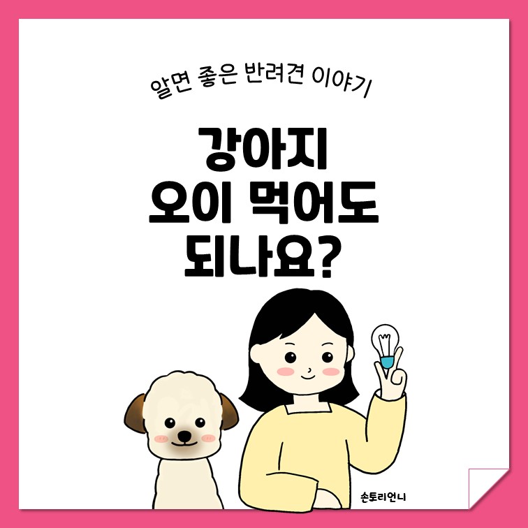 제목 이미지
