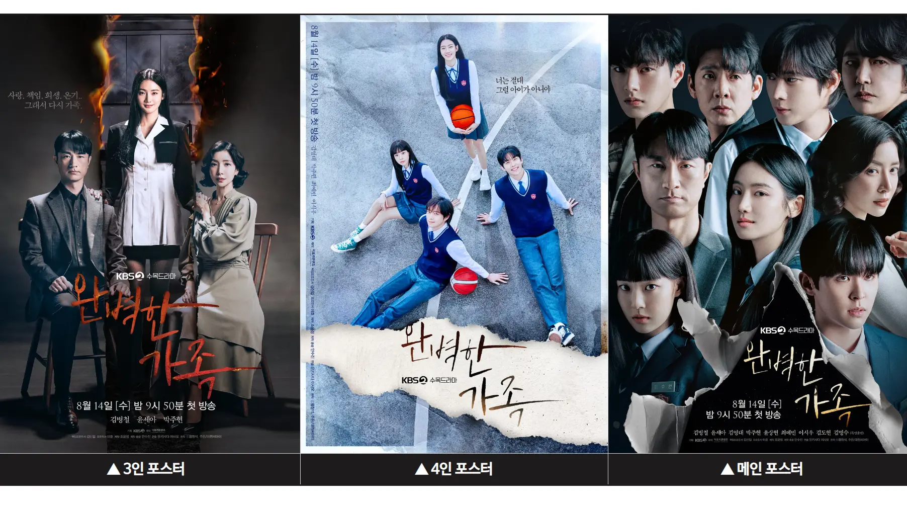 완벽한 가족 포스터