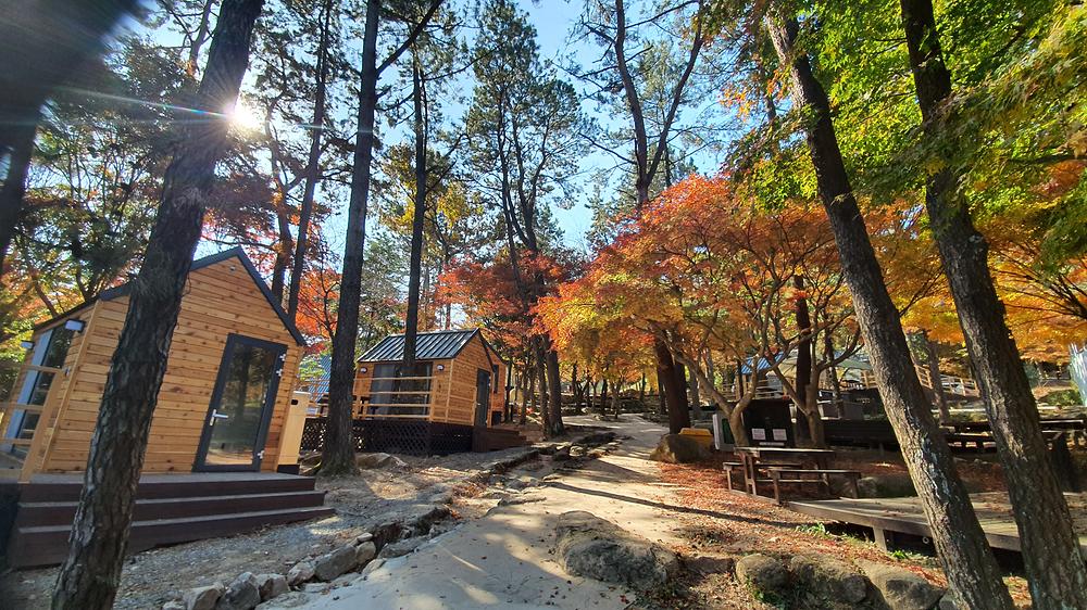 월출산국립공원 천황야영장

전라남도 영암군 영암읍 천황사로 280-73