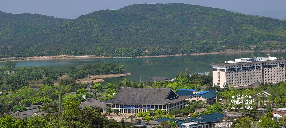 경주 루지월드 추천코스, 이용권 할인쿠폰, 무료사진 네컷, 데이트코스, 가족여행