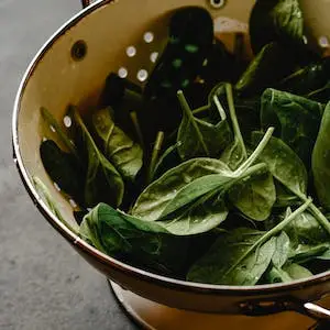 시금치-Spinach