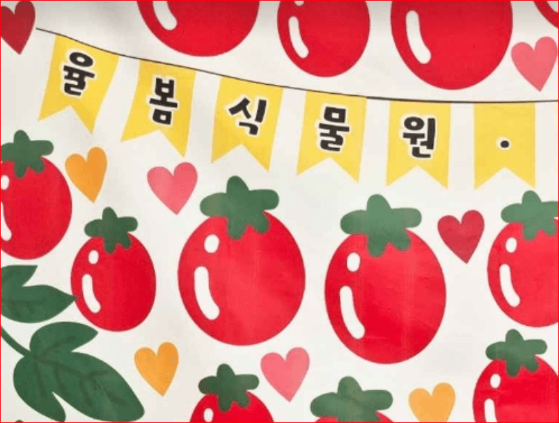 2024 율봄식물원 토마토 시즌 체험 축제 수확체험 예약하기