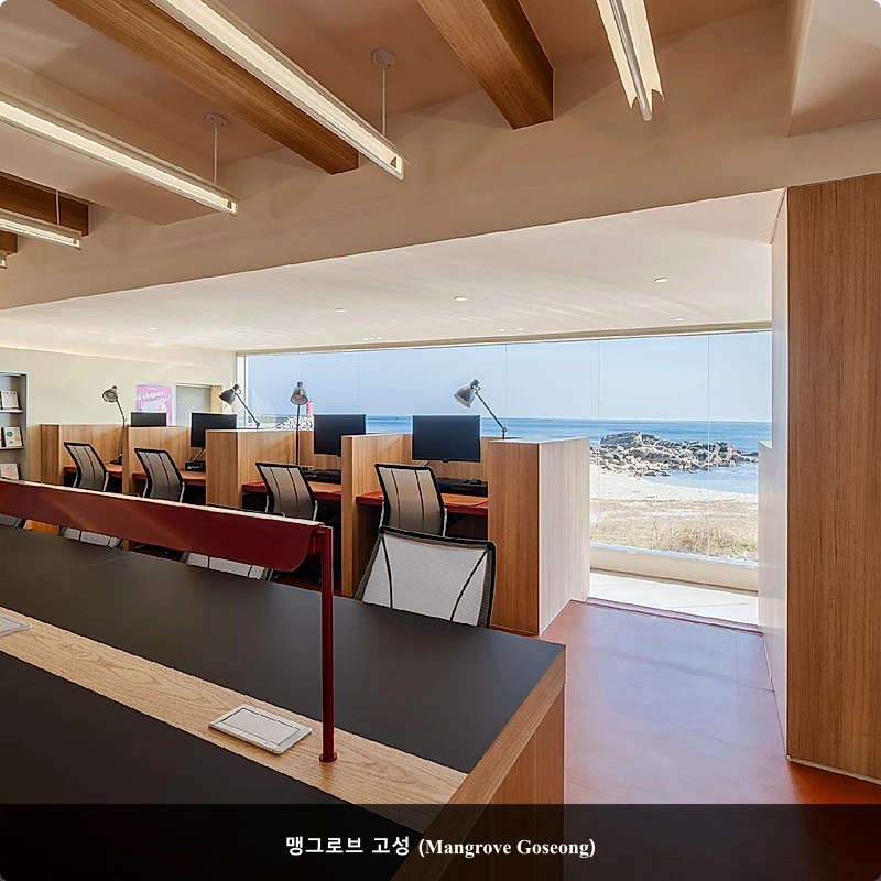 맹그로브 고성 (Mangrove Goseong)_4