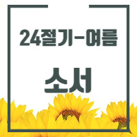 24절기 중 소서에 대한 글의 썸네일입니다.