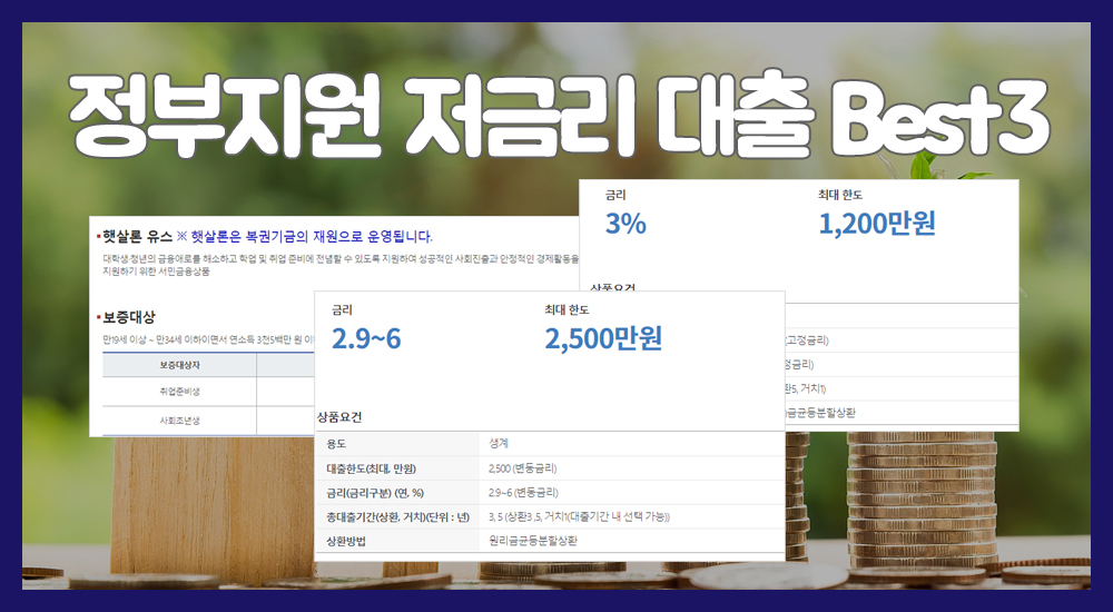 정부지원저금리대출