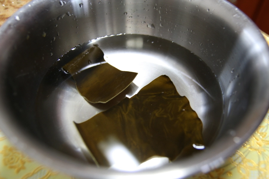 다시마 우리는 모습