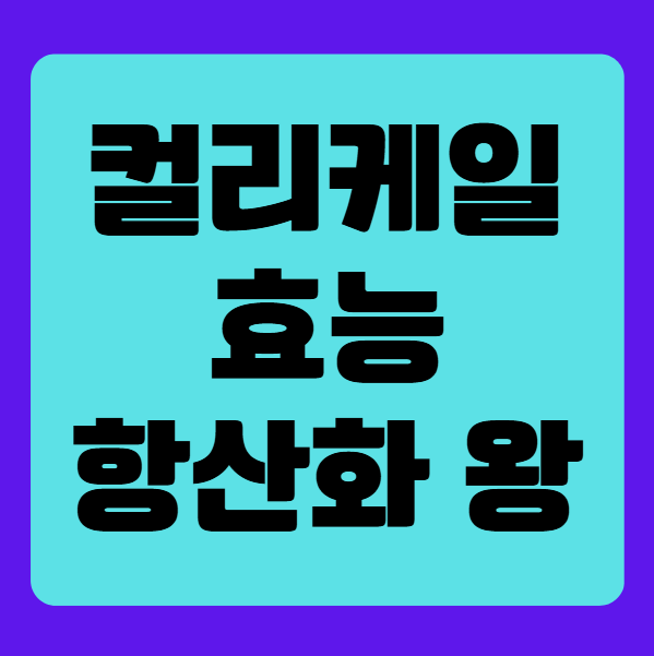 컬리케일 효능, 항산화 식품의 왕