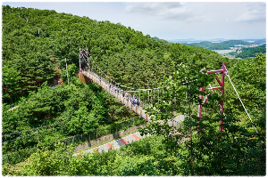혈구산