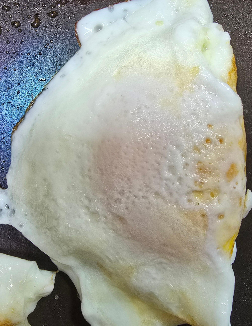 두부참치요리6