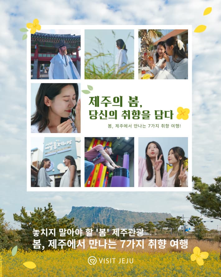 2025년 봄 제주 여행 추천 관련사진