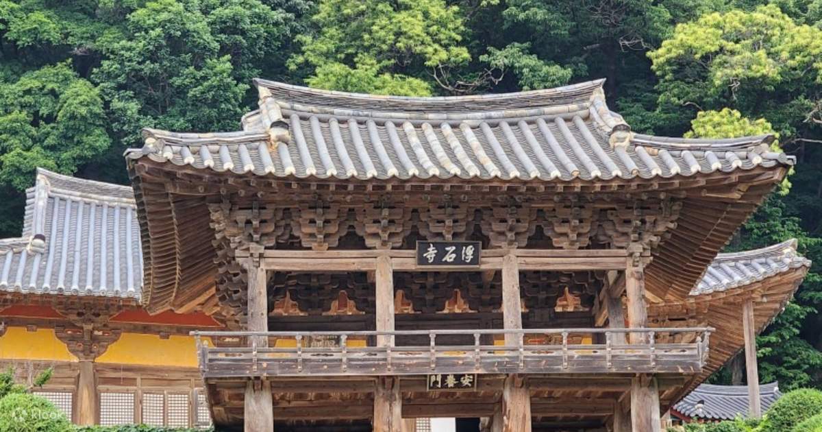 영주 소수서원 수목 공간 관람 가이드