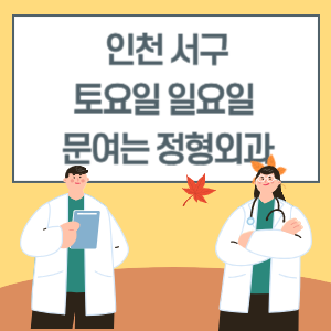 인천 서구 토요일 일요일 정형외과 진료 병원 리스트