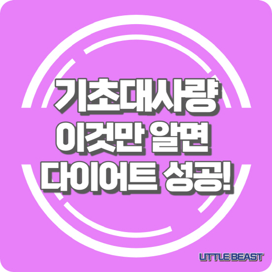 기초대사량 섬네일