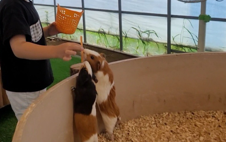 센트럴 곤충 생태농장