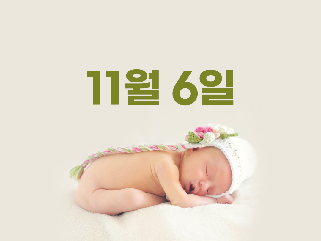11월 6일 천주교 남자세례명 12가지