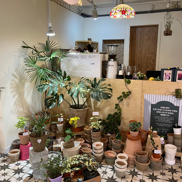 봉봉농원 묘목카페 생방송 오늘 저녁