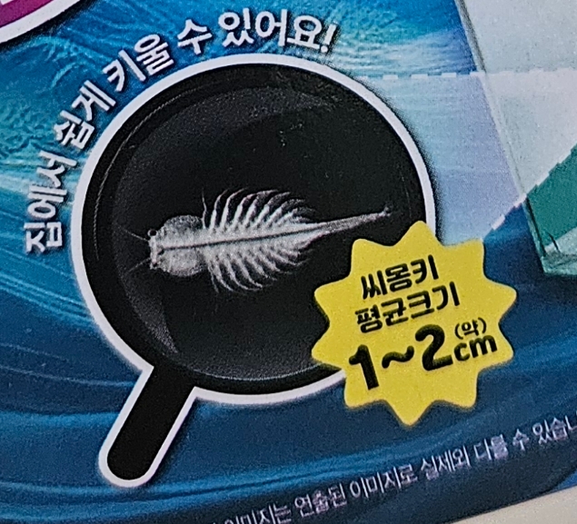 씨몽키