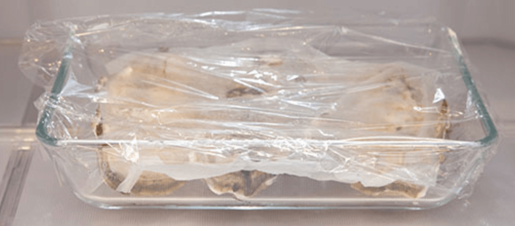 [겨울철 별미] 굴의 여러가지 보관방법 및 보관시기&#44; 한방에 간단정리!!