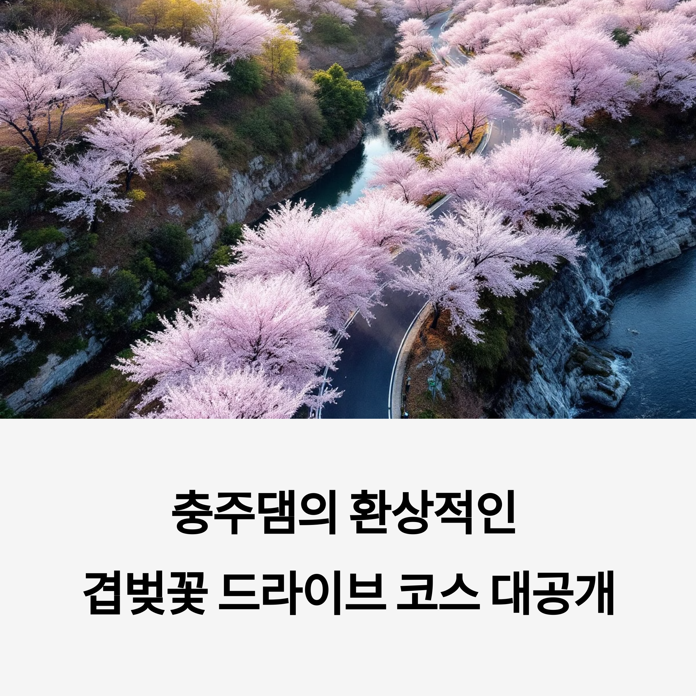 충주댐, 겹벚꽃명소, 당일치기여행, 충주호, 벚꽃축제, 봄드라이브