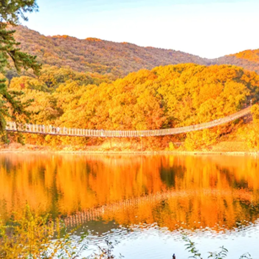 마장호수 출렁다리