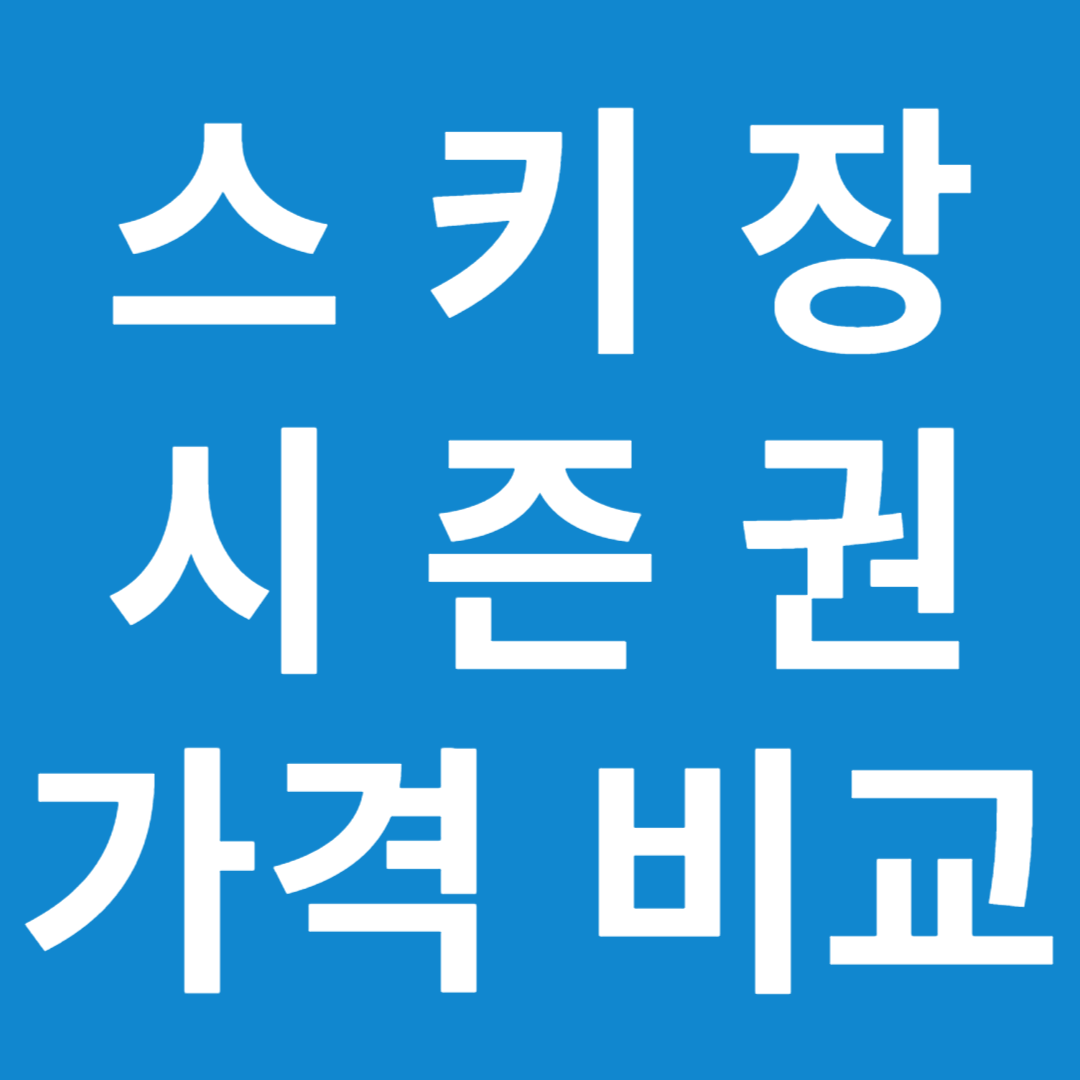 전국 스키장 개장일 시즌권 가격 비교