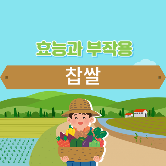 찹쌀의 효능과 부작용