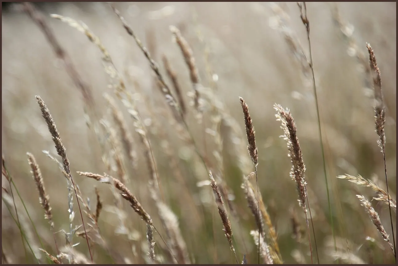 농협은행 정기예금 금리