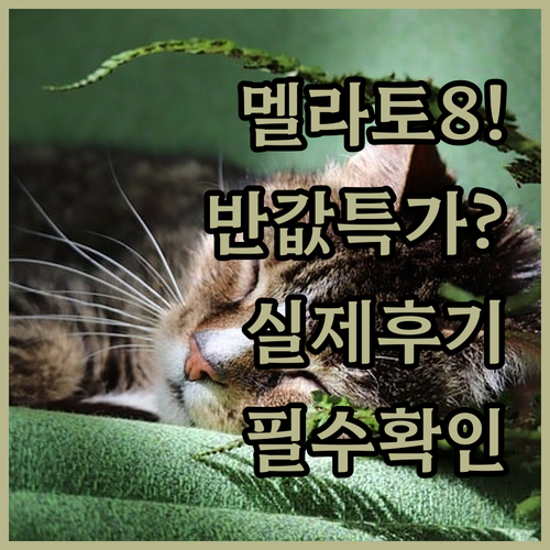 가성비 좋은 식물성 멜라토닌 멜라토8..