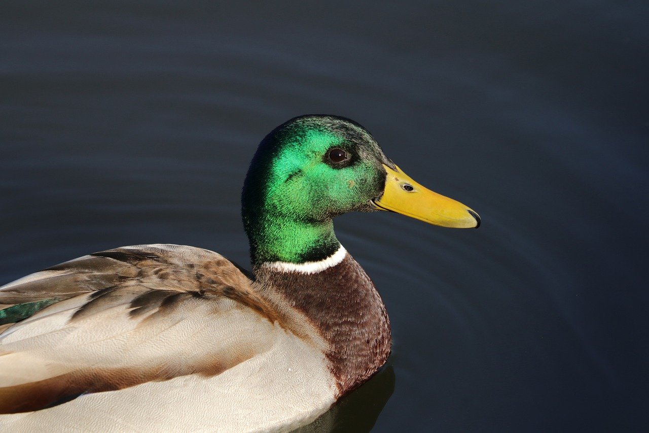 6.27 부동산 대책 대출규제